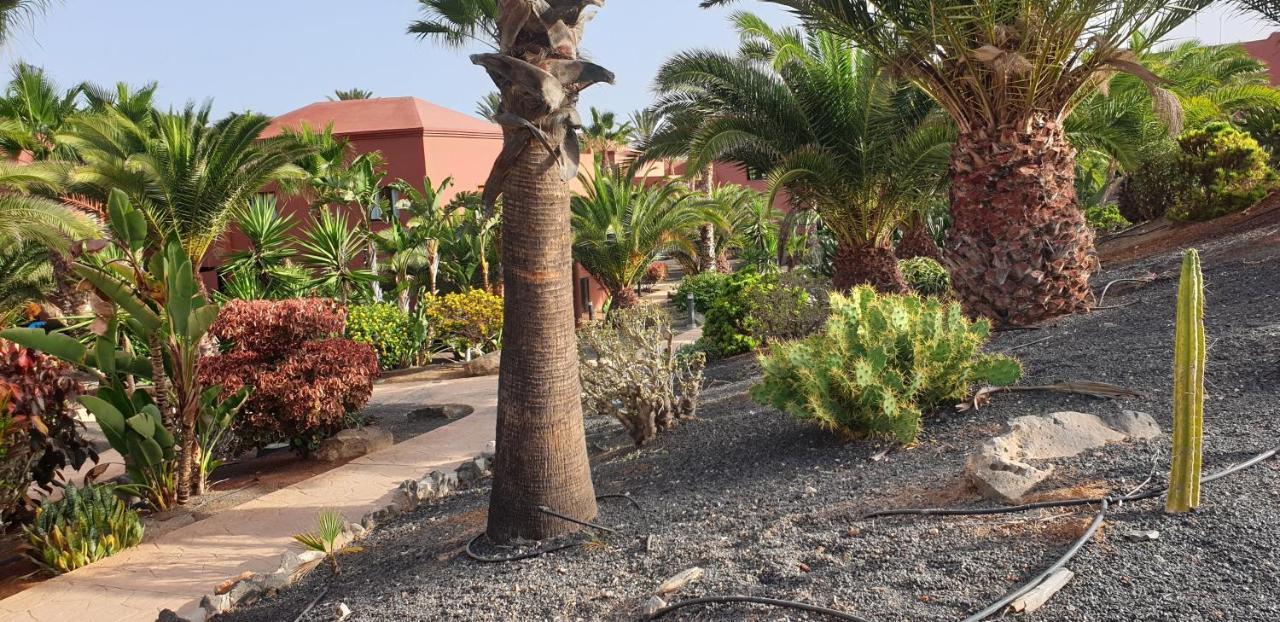 Tamarindo I Piscinas De Agua Salada Apartment Corralejo Bagian luar foto